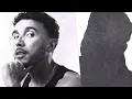Bru-C feat. Shapes - Let It Go