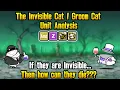 The Invisible Cat Groom Cat Analysis - The Battle Cats Version 15 4