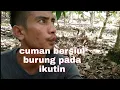Download Lagu manggil burung liar cuman bersiul