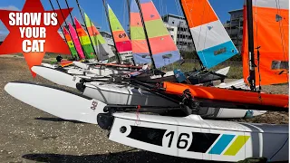 Show us your cat! Episode 111 Italy, USA and UK