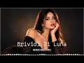 Renzo Bellano - Brividi Di Luna (Original Mix)