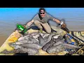 200 POUNDS of Catfish in 2 HOURS Catch and Cook