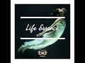 Life Essence