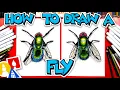 How To Draw A Realistic Fly
