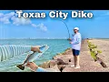 FISHING the LONGEST PIER in the WORLD for SPECKLED TROUT Texas City Dike