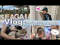 Download Lagu ★Vlog★ Papogin is traveling with two guys! Mama Achapi is alone at night...