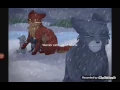 Download Lagu Warrior cats - jar of hearts