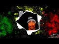 Stephen Marley  - Hey Baby (2Pac & Biggie Remix )