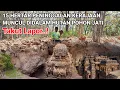 Download Lagu Gempar..! Ditemukan peninggalan istana kerajaan didalam hutan pohon jati