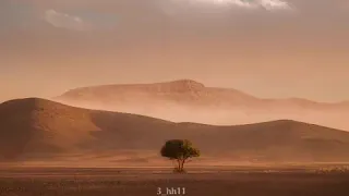 حالات واتساب دينيه انك ميت وانهم ميتون 