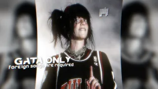 اغاني أجنبية مطلوبة 2026 FloyyMenor GATA ONLY ترند تيك توك 