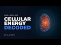 Cellular Energy 101 The NAD Connection