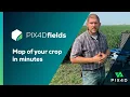 PIX4Dfields - How to map your crop in minutes in-field tutorial