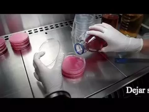 Download MP3 Técnicas básicas de Microbiología: Preparación de Placas de Petri con medio de cultivo.
