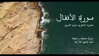 سورة الأنفال بصوت المقرئ سعود الشريم بدون إعلانات Sourat Al Anfal No Ads 