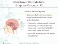 Body Homeostasis
