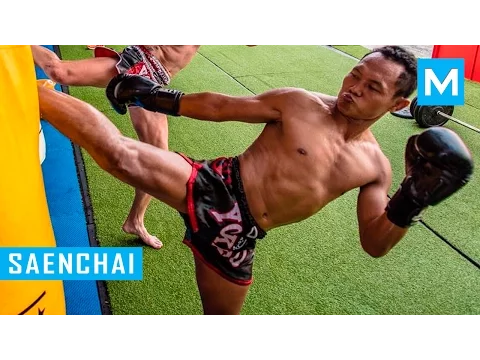 Download MP3 Saenchai Muay Thai Training 2016 | Muscle Madness