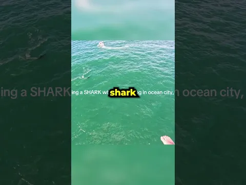 Their Last Time Going Parasailing 👀🦈