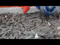 Gov Landry signs seafood labeling bill aimed to protect Louisiana industry