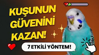 Muhabbet Kuşunun Güvenini Kazanmanın 7 Yolu!