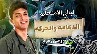 ليالي الامتحان الدعامه والحركة شرح وحل من الاخر الجزء الأول 