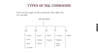 DDL CREAT DROP ALTER TRUNCATE SQL Commands SQL Tutorial