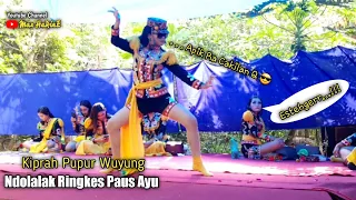 Download Pesona D'ningrum - Pupur Wuyung - Ndolalak Ringkes Paus Ayu MP3