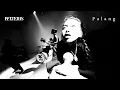 Download Lagu Pelteras - \