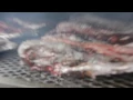 Andrew Garcia of Garcia s Mexican Food talks about his brisket smoking method
