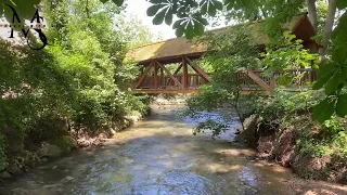 فيروز مع جمال النهر 