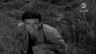 رايحه فين يا ست  يا ترى تطلع فين بطن الزير    ابن حميدو دندنها