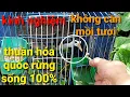 Download Lagu thuần hóa chim quốc bổi | không cần mồi tươi sống 100% | thế hiển cà mau chia sẻ kinh nghiệm