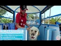 Mobile dog wash that comes to you