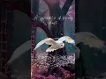 Magic Pregnancy Announcement Canva Template