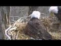 DECORAH EAGLES 2016 11 30 AM CDT DAD ON ALERT CALL AND LEAVES