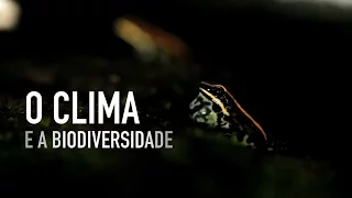 O Clima e a Biodiversidade