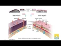 Florida HAI CIC Study Group - Microbiology Basics