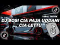 Download Lagu DJ BOSI CIA PAJA UDDANI CIA LETTU - DJ BUGIS VIRAL TIKTOK TERBARU 2024