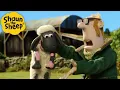 Bad Sheep! 🐑 Shaun the Sheep 🐑  - Cartoons for Kids 🐑 Full Episodes Compilation [1 hour]