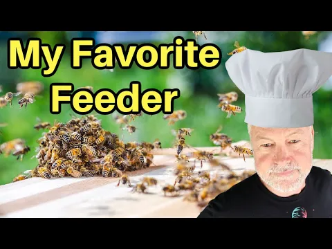 Download MP3 Beekeeping | Which Feeders Work Best?