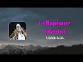 Middle Kids - Cellophane Brain (Lyrics)
