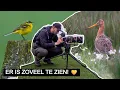 Download Lagu Vlog #359: Genieten in de Binnenveldse Hooilanden! | Sony A7 IV