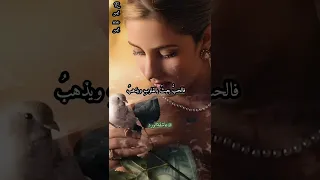 علمت عيني بغيابك ماتذوق النوم 