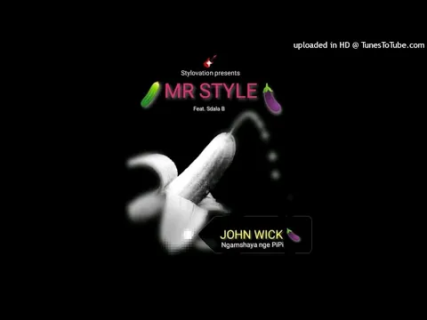 Download MP3 Mr Style feat Sdala B - John wick { Ngamshaya nge pipi }
