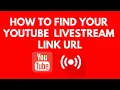 Download Lagu How to find YouTube live stream link URL (2023)