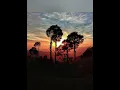 Download Lagu 104 - Surah Al-Humazah By Sheikh Noorin Muhammad Saddiq (RA)