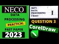 NECO Data Processing Practical 2023 Past Paper - CorelDraw