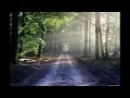 Lagu relax motıvasıon musıc 2025 DJ HAYALET35