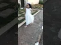 Cabelo de Anjo. Música de Lulu Santos e Melim