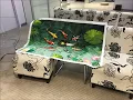 Cross Stitch Progression - Koi Pond